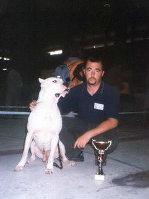 Dogo Argentino
