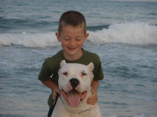 Dogo Argentino
